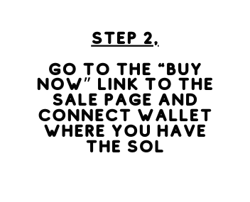 Step 2 Go to the Buy now link to the sale page and connect Wallet where you have the sol